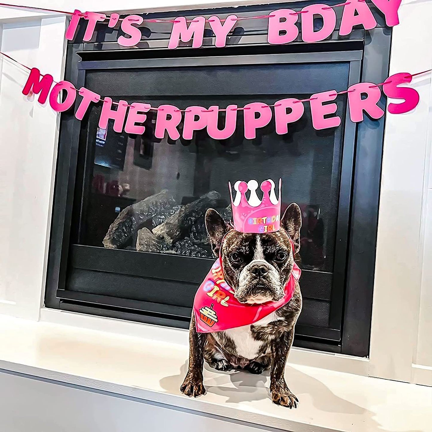 Pet Party Decorations Birthday Setup Pennant Banners