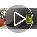 OkiyiD Kids Water Bottle, Cat-themed Light-Up Sport Cup with 3D Glowing LED Cat Light – 14 OZ Tritan BPA-Free - Kids Gift ...