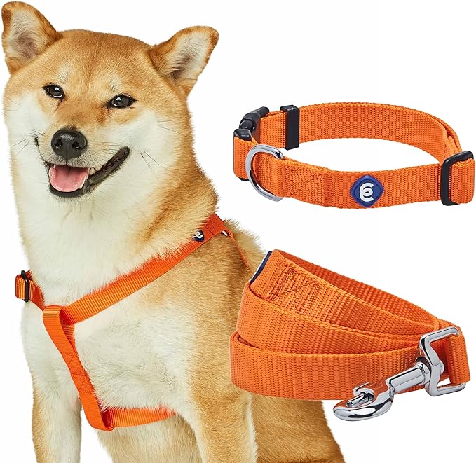 Blueberry Pet Essentials Dog Harness and Leash Set - Large Orange Vermilion Dog Collar and Leash Set for Eco-Conscious Own...