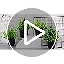 Der Rose Fake Plants 4 Packs Artificial Plants Small Faux Plants Black Bathroom Accessories for Halloween Bathroom Home Ki...
