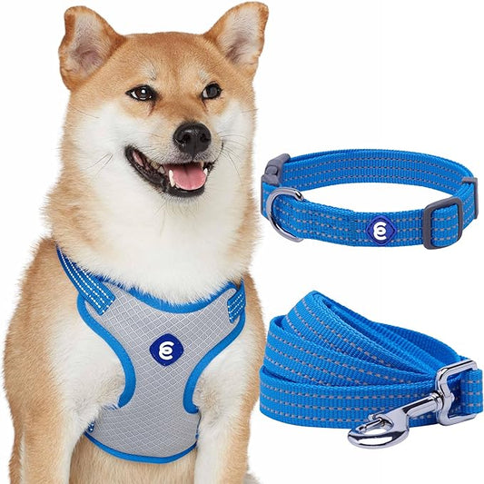 Blueberry Pet Dog Harness and Leash Set, Puppy Essentials for Large Dogs, Medium Sized Dogs, and Puppies, Reflective Dog C...