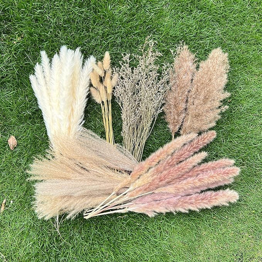 100Pcs Pampas Grass Boho Home Decor 17 inch Natural Dried Flowers-Pampas Grass Contains Bunny Tails White Pampas Brown Pam...