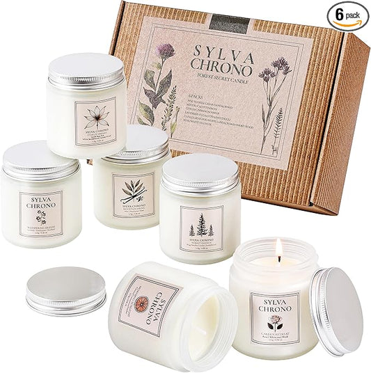 Scented Candle Gift Set for Women, Pet-Friendly 6-Pack Soy Wax Candles, 10% Essential Oils, Quick Diffusion, Long-Lasting ...