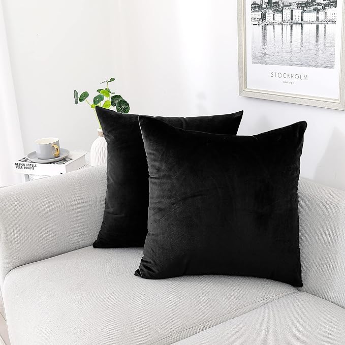 NiNi ALL Decorative Throw Pillow Covers Pack of 2, Velvet Throw Pillow Cases for Couch Pillows Cover Bedroom Living Room O...