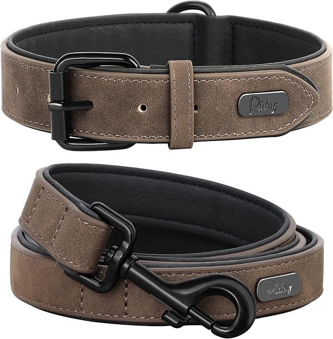 Didog Soft Padded Leather Dog Collar and Leash Set, Adjustable Dog Leash and Collar Set with Metal Buckle, Breathable Dog ...