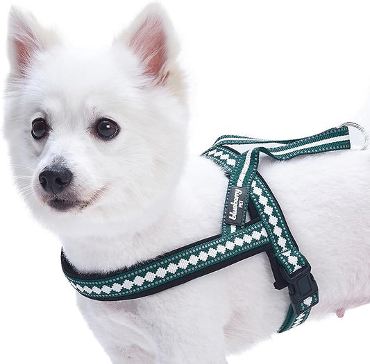 Blueberry Pet 6 Colors Soft & Comfy Jacquard Padded Dog Harness, Chest Girth 21.5" - 27.5", Teal Blue, S/M, Reflective Adj...