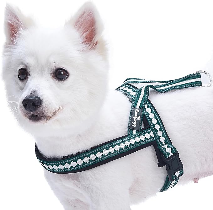 Blueberry Pet 6 Colors Soft & Comfy Jacquard Padded Dog Harness, Chest Girth 21.5" - 27.5", Teal Blue, S/M, Reflective Adj...
