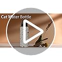 Sabobo 18oz Cats Water Bottles with Flip Straw & Spout Lid, Double Wall Stainless Steel Travel Sport Bottle, Cream Gym Gif...