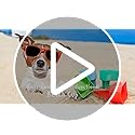 Home Queen Beach Cup Holder with Pocket, Multi-Functional Sand Cup Holder for Beverage Phone Sunglasses Key, Beach Accesso...