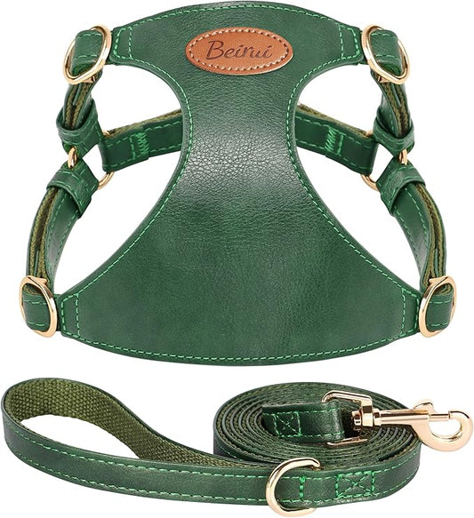 Beirui ‌Stylish PU Leather Dog Harness‌ and Leash Set for Small Dogs, ‌Adjustable Step in Dog Vest Harness with Breathable...