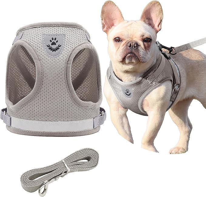 Petbuy Step in Dog Harness and Leash Set,Reflective Adjustable Soft Mesh Breathable Pet Vest Dog Harnesses Set, No Chock N...