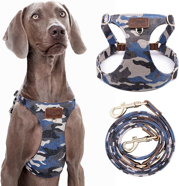 Dog Harness, No Pull Dogs Harness and Multi-Function Leash Set for Medium Dogs Easy Walk Everyday Adjustable Soft Dog Vest...
