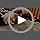 CHIWAVA 24PCS 5" Rattle Cat Toys Mice with Feathers Rainbow Rope Mouse Kitten Interactive Toy Assorted Color