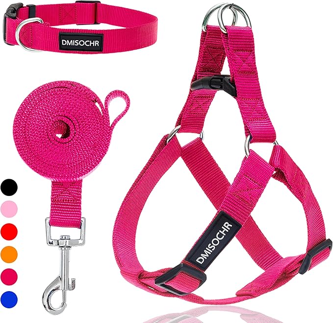No Pull Dog Harness - Adjustable Step-in Harness & Leash Set for Small, Medium, Large Dogs - Escape Proof Soft Pet Harness...