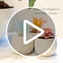 VIVERIE Mini Faux Succulents Plants Artificial in Pots-Rose Pink Desk Accessories, Small Fake Succulents Plants for Home D...