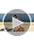 Dokotoo Swimsuit Coverup for Women Scoop Neck Sleeveless Sheer Beach Dresses Side Slit Vacation Bathing Suit Cover Up
