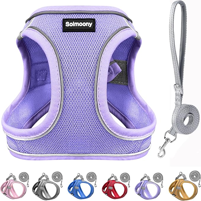 Solmoony Sparkly XXXS Dog Harness and Leash Set, Step in Soft Light Puppy Vest, Breathable Reflective Pet Harness for Walk...