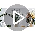 10 Pcs Dried Eucalyptus Stems 17" Real Eucalyptus for Shower Hanging 100% Made from Fresh Leaves, Wedding, Home, Farmhous...