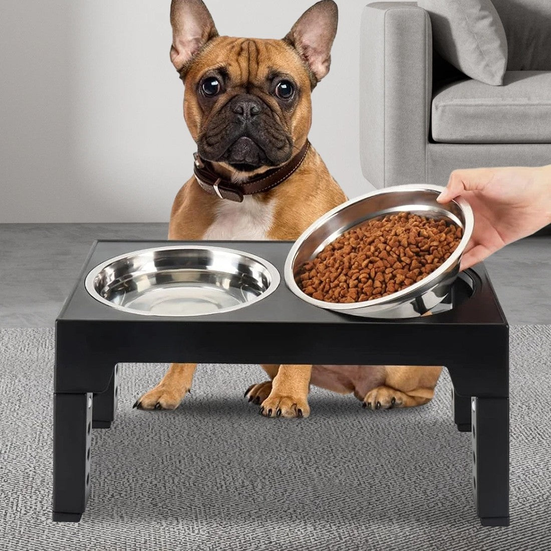 Large Dog Food Feeding Stand Station Stainless Steel Double Raised Bowls Feeding