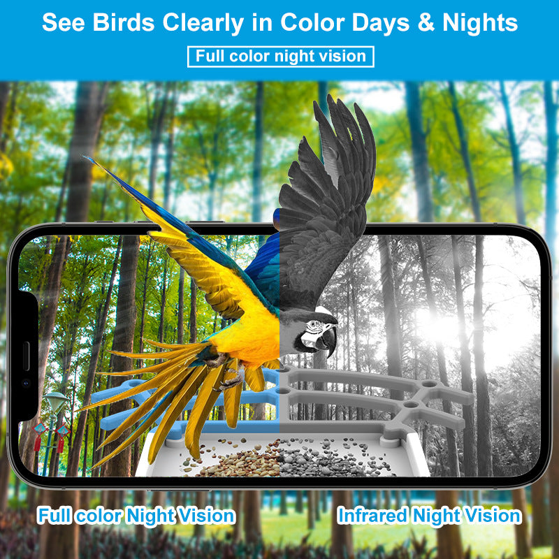 Intelligent Bird Feeding Recognition Solar HD Feeder