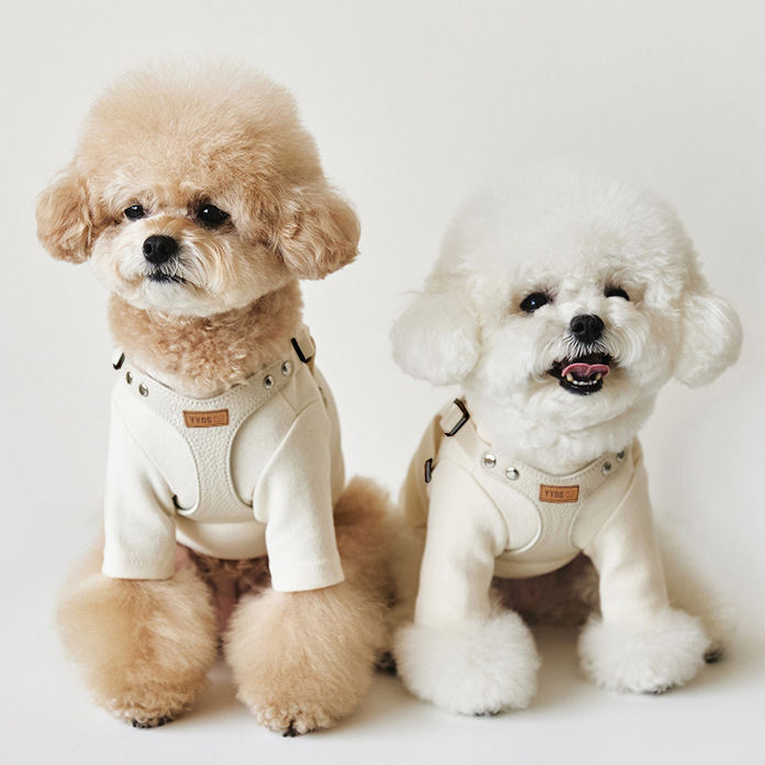 Pet Dog Leash TeddyBichon Outdoor Chest Harness And Leash