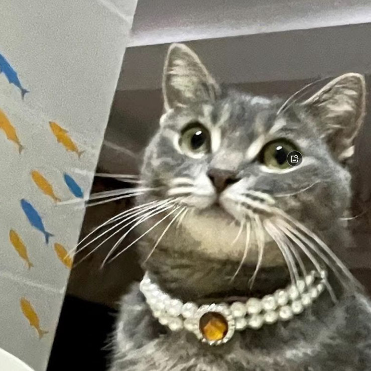 Cat Pearl Necklace Pet Collar