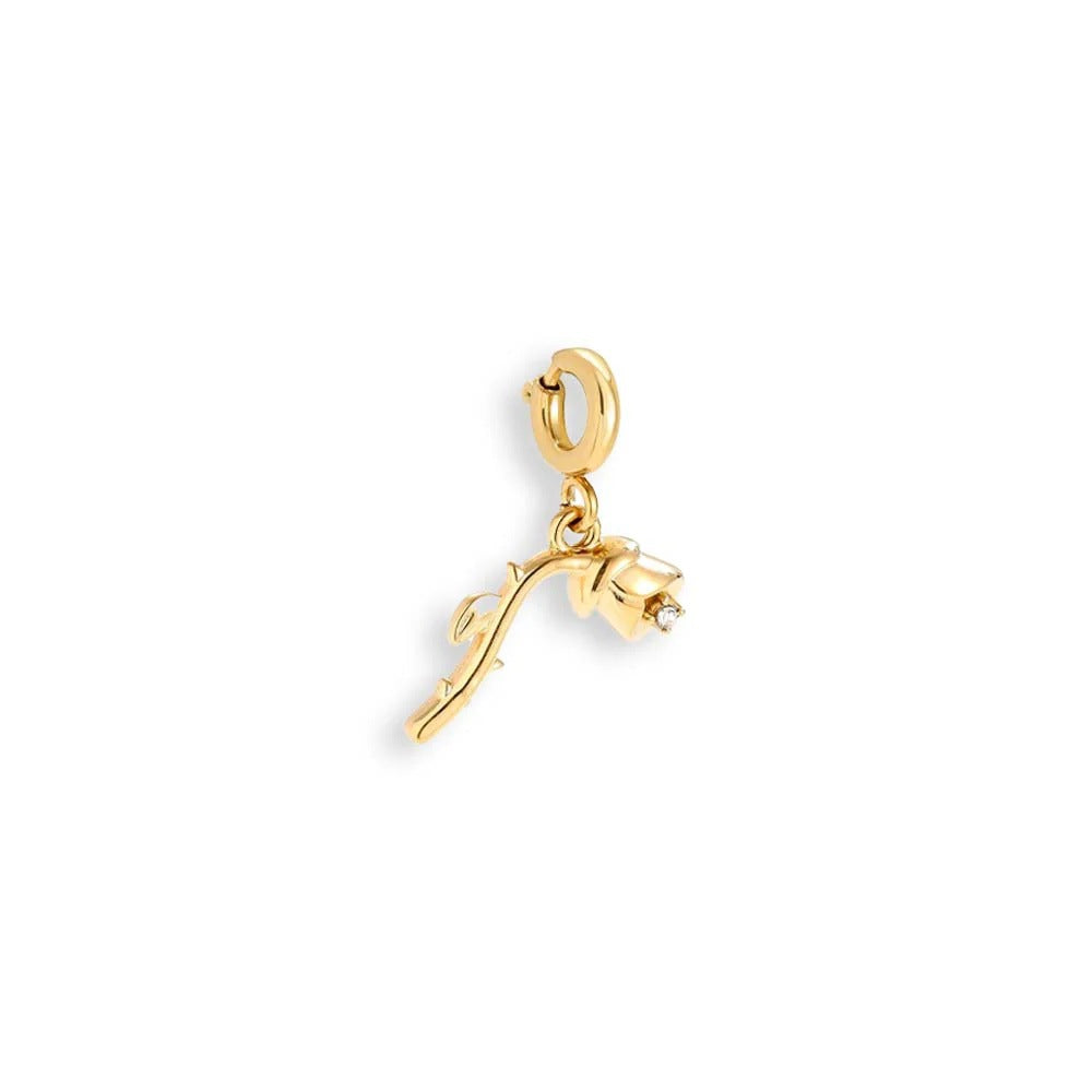Stainless Steel Fruit Series Pendant Accessories