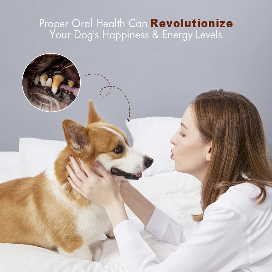 Dog Breath Freshener Pet Dental Oral Care