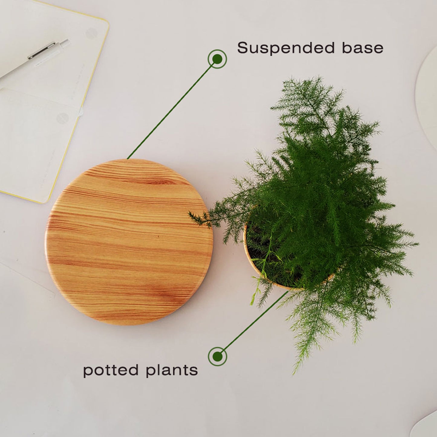 Maglev Potted Home Creative Gifts Desktop Ornaments