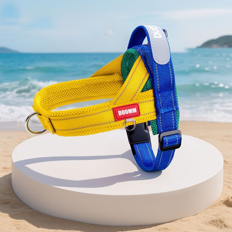 Fashionable Contrasting-Color Non-Constricting Spliced Pet Leash