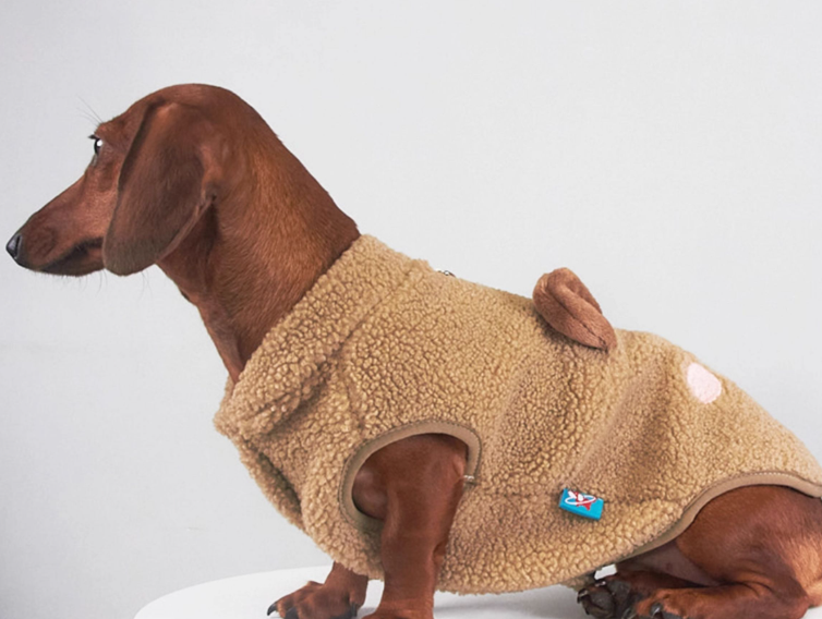 Autumn And Winter Dog Cat Pet Clothes Lambswool Vest