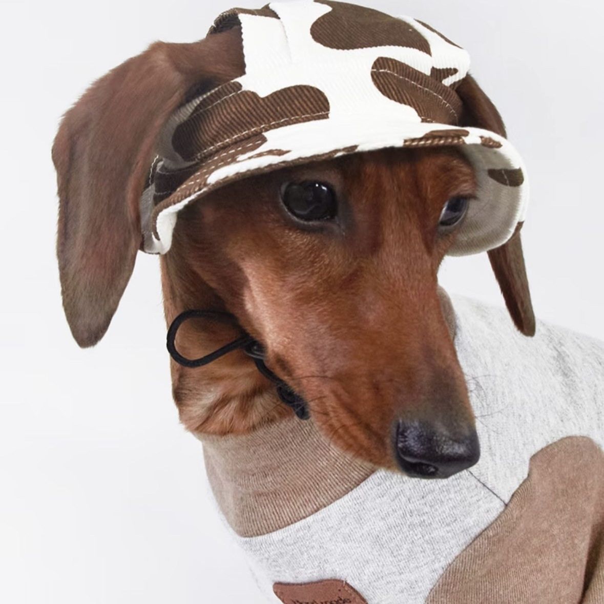 Cow-patterned Printed Denim Bucket Hat Pet Accessory