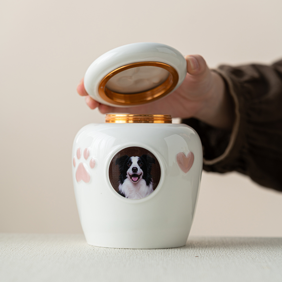 Light Luxury Ceramic Jar For Ashes Collection As A Souvenir For Deceased Cats And Dogs Pets