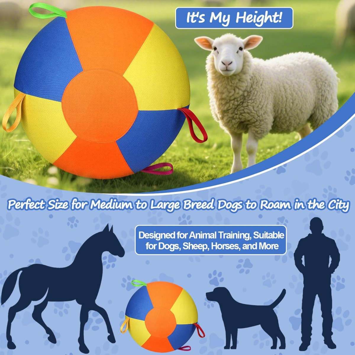 Inflatable Training And Exercise Toy Pet Play Ball