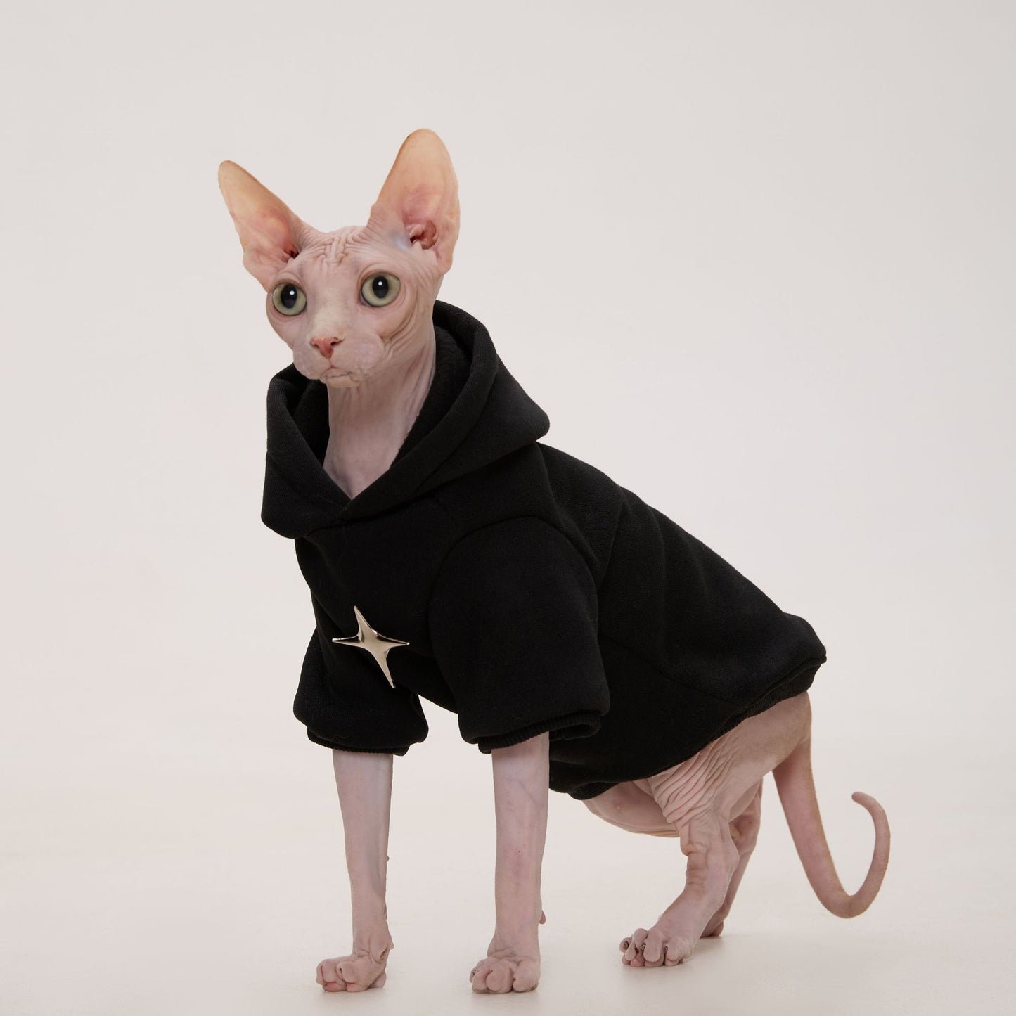 Pet Hoodie For Hairless Cats Devon Rex Kittens