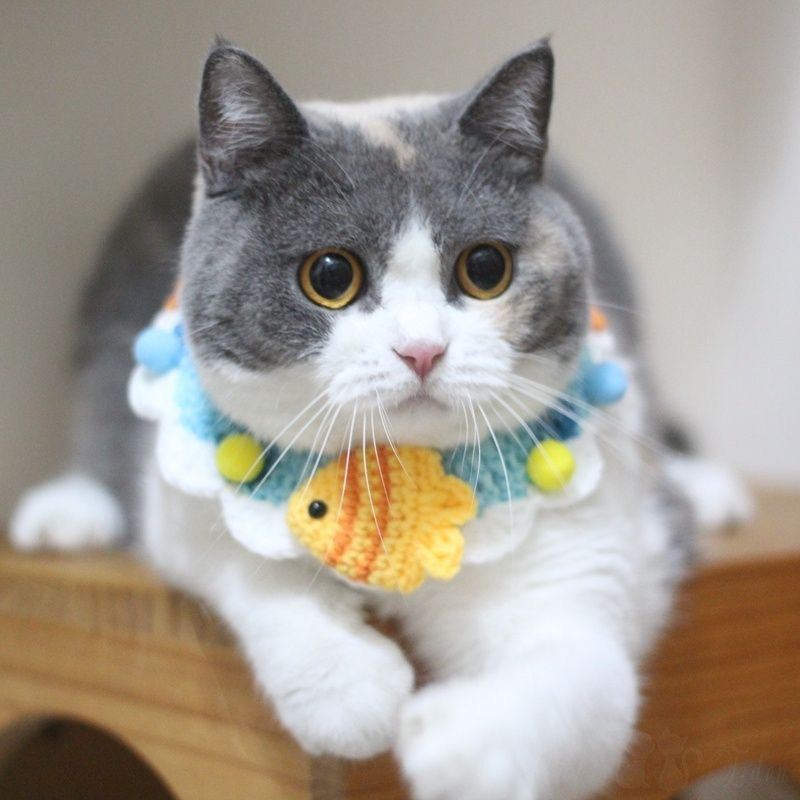 Pet Hand-woven Collar Cat Wool Decoration