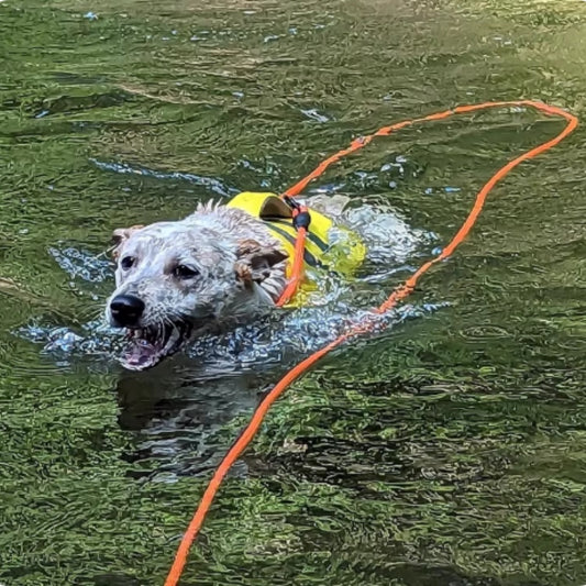 Extra Long Dog Leash For Pet Swimming, Diving, And Floating.