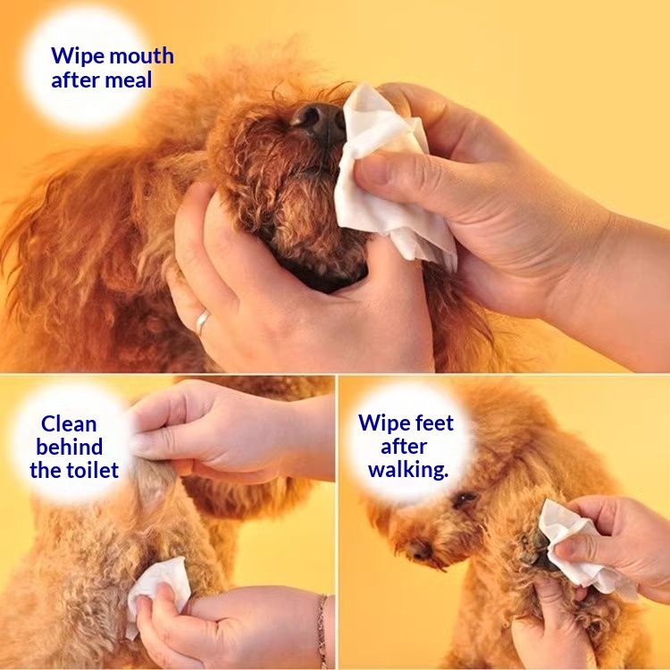 Pet Odor-removing Wet Wipes For Cats And Dogs
