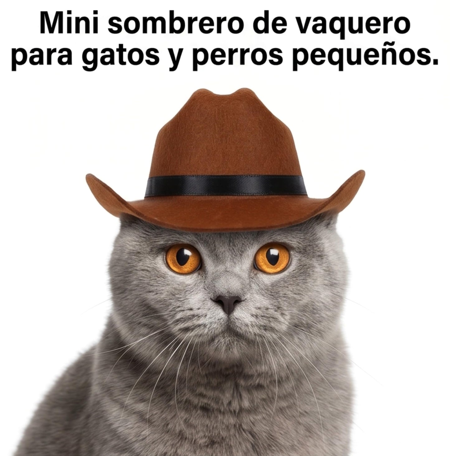 Small Cowboy Pet Hat For Cats Dogs Party Festival Costume Photo Accessory