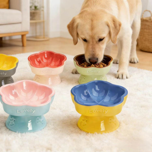 Ceramic Elevated Pet Bowl For Medium To Large Dogs