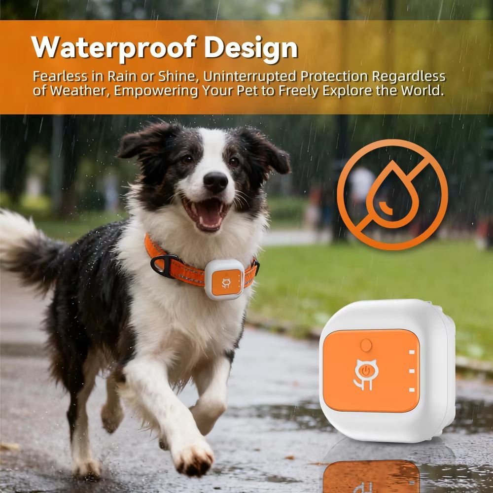 4G GPS Pet Collar Cats And Dogs Realtime GPS Tracking