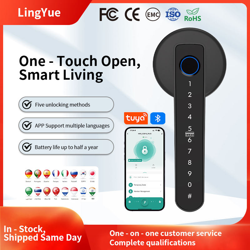 Graffiti Bluetooth Smart Door Lock For Home And Office, With Fingerprint Recognition