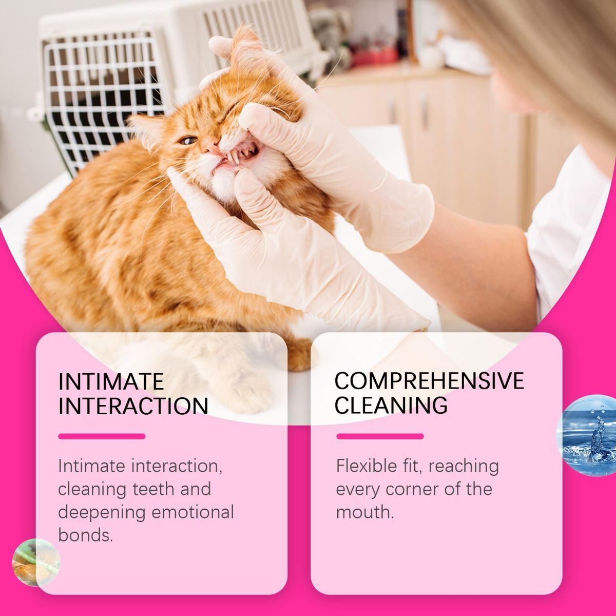 Pet Dental Cleaning Finger Wipes