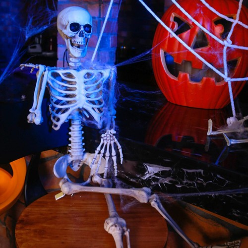 170cm Human Skeleton Life Size Skull Full Body Anatomy Model Halloween Medical