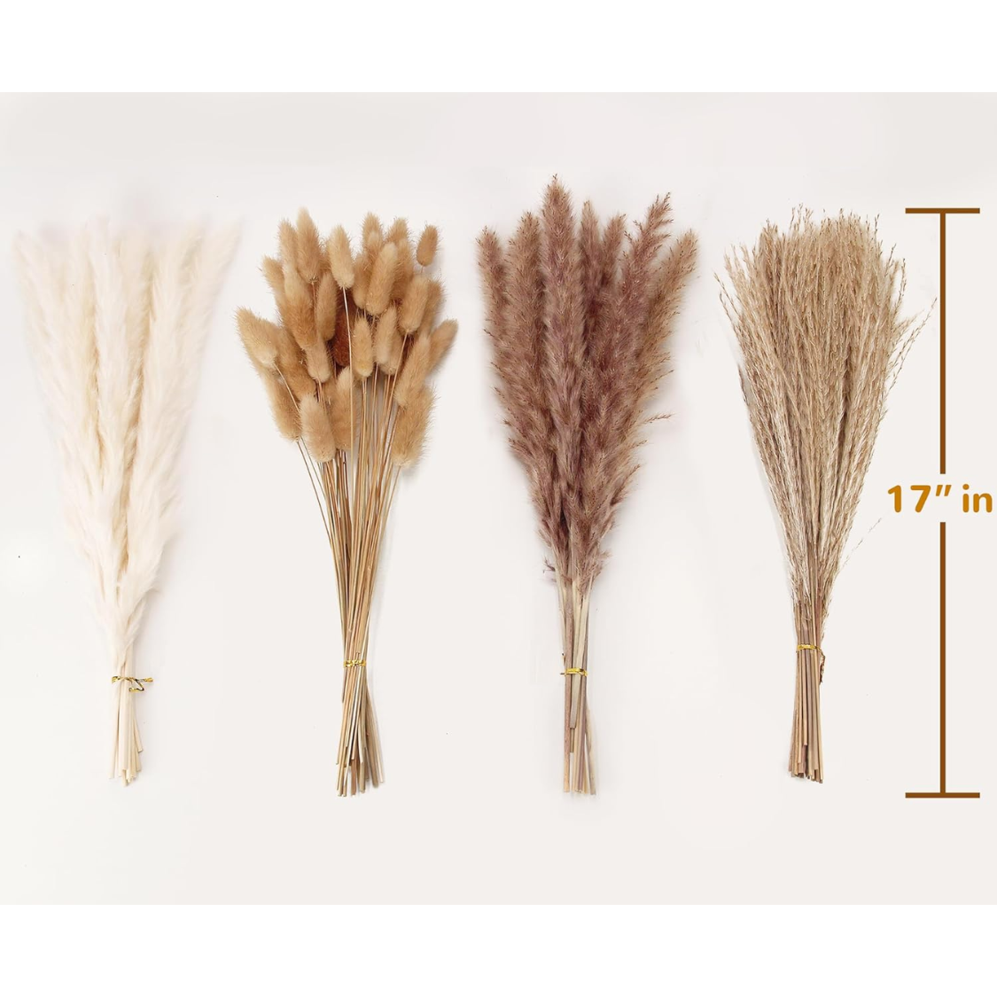 Grass Decor 100 Stems Pampas Grass Contains Bunny Tails Dried Flowers Reed Grass Bouquet For Wedding Boho Flowers Home Table Decor