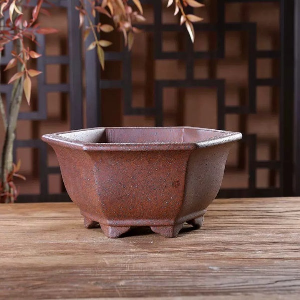 Green Plant Succulents Indoor Desk Purple Clay Flower Pot