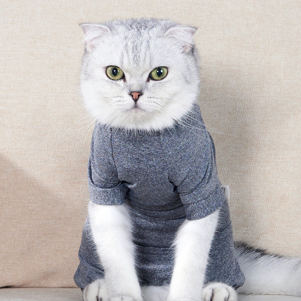 Cat Surgery Post Operative Recovery Four Legged Clothes