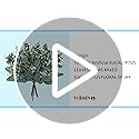 Mixed Eucalyptus Leaves Stems Bulk Artificial Eucalyptus Leaves Sprays Faux Oval Eucalyptus Leaves with White Seeds Stems ...