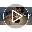 CASTLELIFE Candle Warmer Lamp with Timer & Stepless Dimming, Height Adjustable Electric Wax Warmer for Jar Candles, Flower...