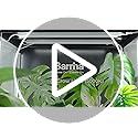 Barrina T5 Grow Lights for Indoor Plants, 5000K Full Spectrum, 1FT LED Growing Lamp, Plant Light Strip, for Seed Starting,...